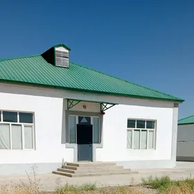Gokdepe jay