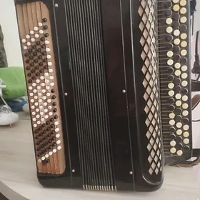 баян