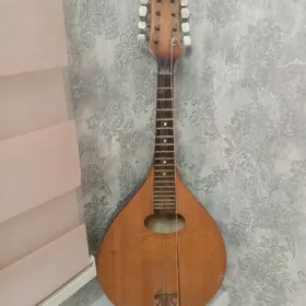 Ors gitara
