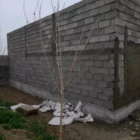 suvagcy gerek abyom 1000 kv