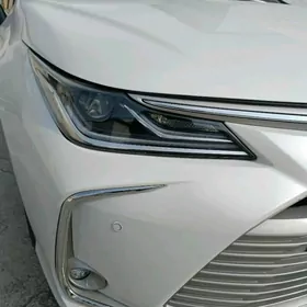 carolla fara 2019