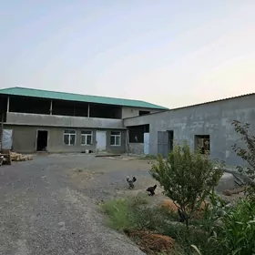 melek yer jayam bar
