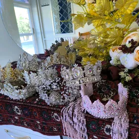 Karona salon üçin