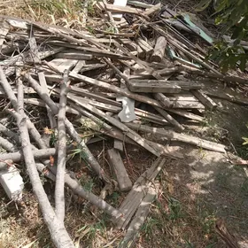 ağaç odun