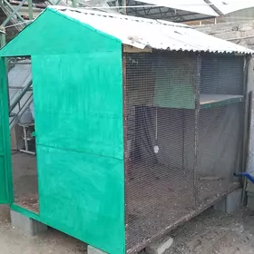 Towuk ketek