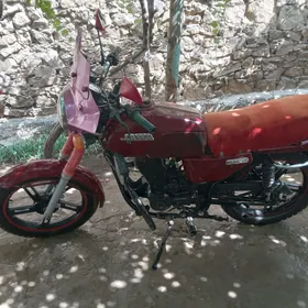 Fekon FK150-8G 2014