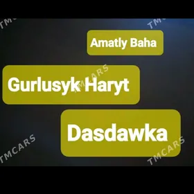 miti şebil sement kerpiç myty