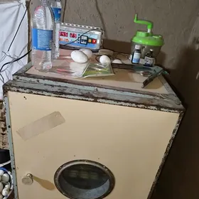 инкубатор