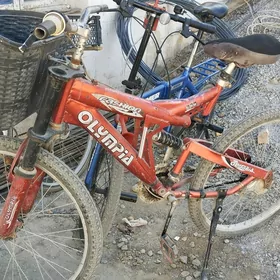 Welsepit Tigir