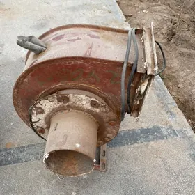 uly wintelyator