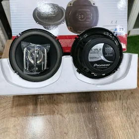 kalonka pioneer 300W