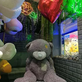 mishka teddy