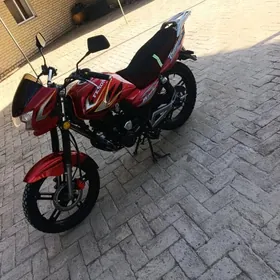 Fekon FK150-8G 2013