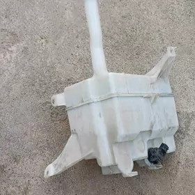 Azyada kemri suw baçok