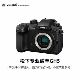 Lumix gh 5