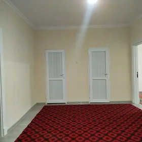 Buzmeyin Gress 8 dom