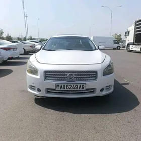 Nissan Maxima 2010