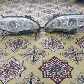 CAROLLA FARA HALIJI 2011 2013