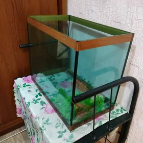 аквариум
