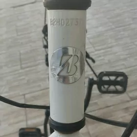 26 lyk sportivni