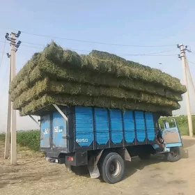 yorunja