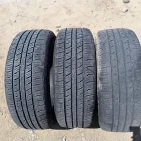 18 haylandr pakrişga 3 sany