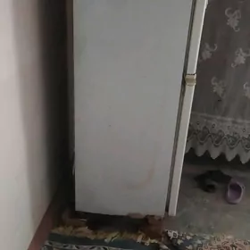 haladinlik