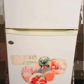 Holodilnik INDESIT