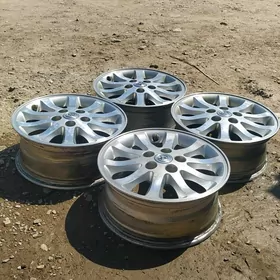 babycga brosga disga R16