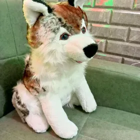 Haski miska