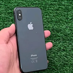 iPhone X