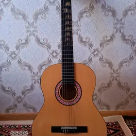 Klasika gitara
