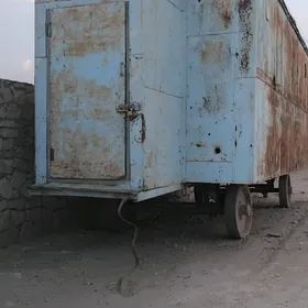 Wagon