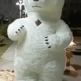 Animasyýa Ak Aýy satlyk