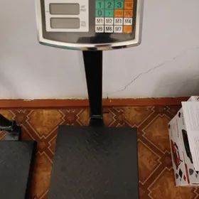 terezi 300kg
