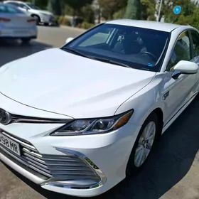 Toyota Camry 2022