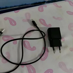 zaryatnik fast charging