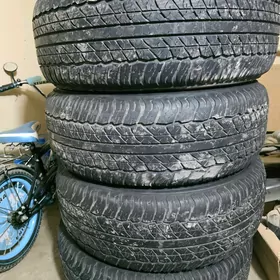 265.65.17