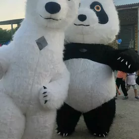 ak aŷy ve panda