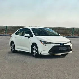 Toyota Corolla 2023