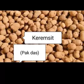 gum miti keramsit sement pulpa