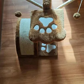 Когтеточка