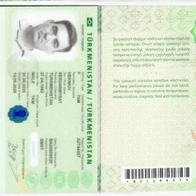 паспорт йытды загран