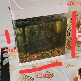 akvarium