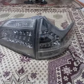 siennanyñ yzky kamplekit farasy