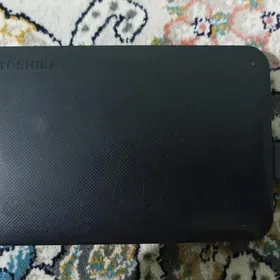 Žostkiý disk