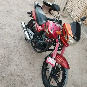 Fekon FK150-8G 2013