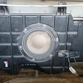 BASS BOVKA