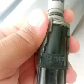 wanus datcik2.4