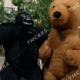 tans oýnaýan miskalar ak aýy